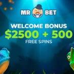 mr bet casino erfahrung